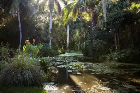 The Jungle Garden: Preserving a Tropical Landscape event image