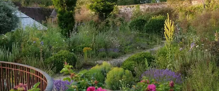 'The Kitchen Garden' with author and garden designer Toby Musgrave event image