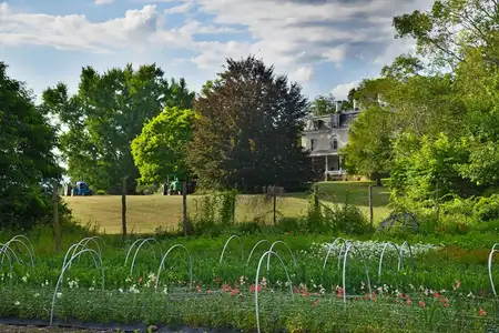 Anne Spencer's garden.