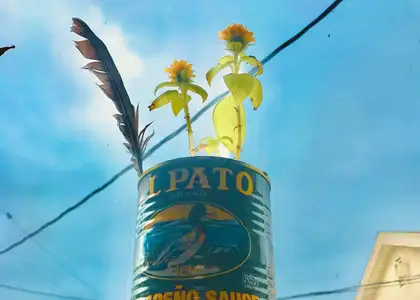 Rooting the Soul event image