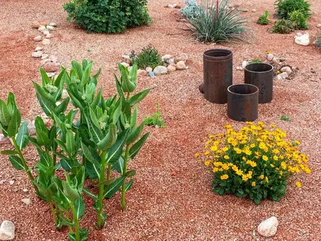 Saturday, June 6 Open Day at Sage Queen Garden