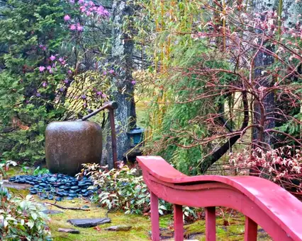 Digging Deeper: Designing and Cultivating a Moss Garden