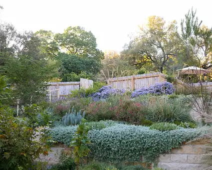 Saturday, November 8 Open Day at Pollinators’ Paradise - 10AM
