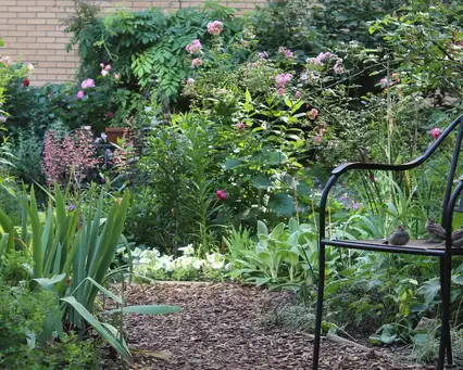 Digging Deeper: Creating a Rooftop Community Garden