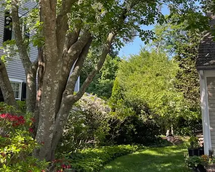 Saturday, June 13 Open Day at Village Sanctuary