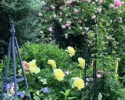 Saturday, June 13 Open Day at Culver's Garden