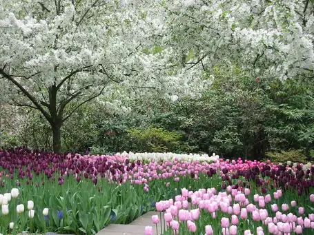 Sunday, April 26 Open Day at The White Garden - Session 2: 1pm–4pm