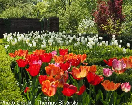 Saturday, May 30 Open Day at The Garden at Glen Eagles