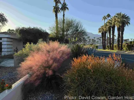 Saturday, April 25 Open Day at Gratitude