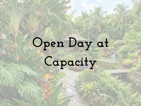 Open Day at Frances Palmer's Garden