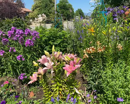 A Walk Through Our Garden Rooms