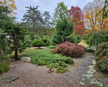 A Journey Through Form and Nature