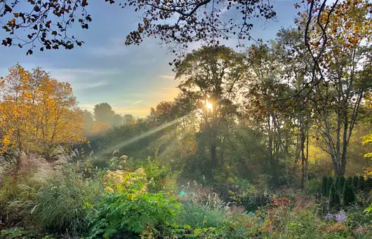 Saturday, June 20 Open Day at The Garden at Federal Twist