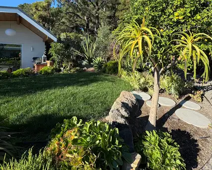 Saturday, April 25 Open Day at La Fleur Lochinvar Garden