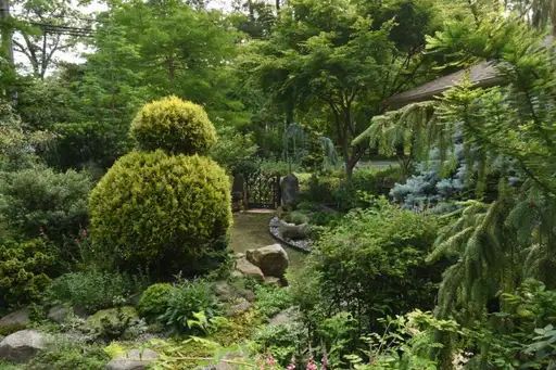 Saturday, June 27 Open Day at Merely Summer Cottage