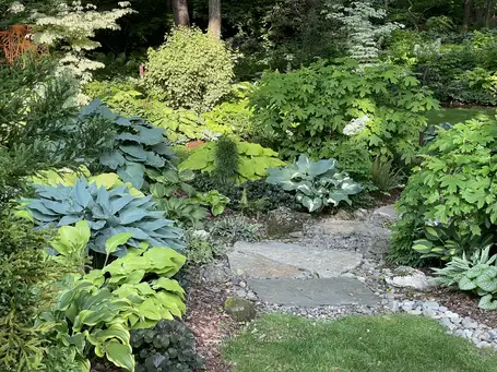 Sunday, June 28 Open Day at The Garden of Scott VanderHamm