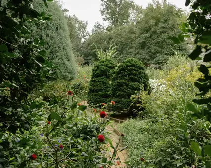 Saturday, June 27 Open Day at Killian Garden