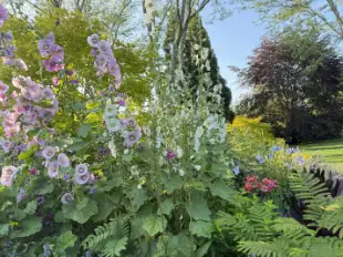 Saturday, June 27 Open Day at The Barn on Butter Lane, Session 1: 10am–12pm