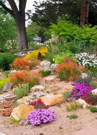 Saturday, June 13 Open Day at Pine Gardens