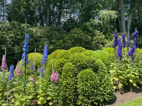 Saturday, June 20 Open Day at Isabel and Winston Fowlkes