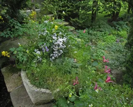 Saturday, June 20 Open Day at Reasoned Landscape