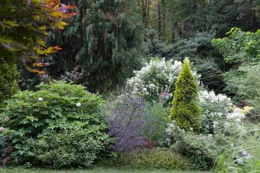 Open Day at Hudson Garden