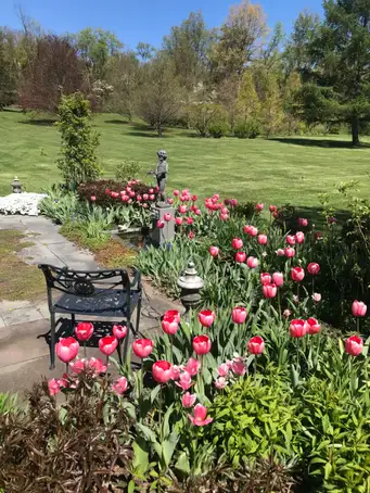 Saturday, June 6 Open at Arcadia - Ronald Wagner & Timothy Van Dam