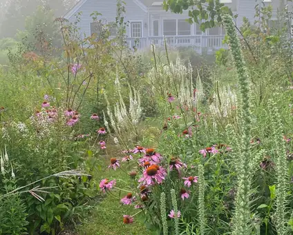 Open Day at Suburban Formal Wilderness Garden