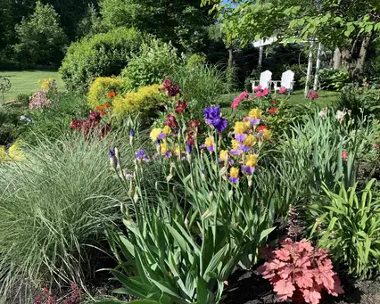 Open Day at Longview Gardens