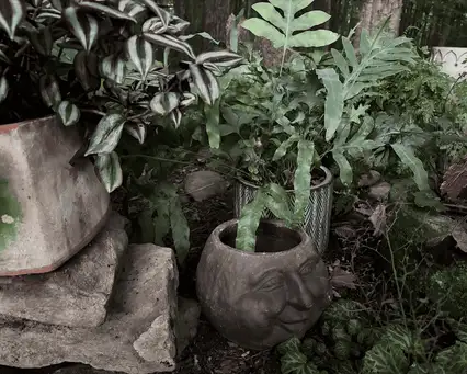 Saturday, June 20 Open Day at Walter’s Wonderland