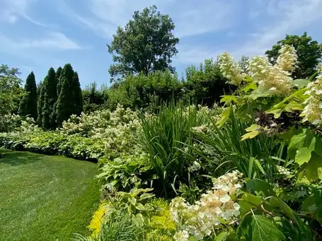 Open Day at Prospect Gardens Westport