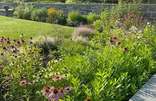 Sunday, June 28 Open Day at Perrin Garden