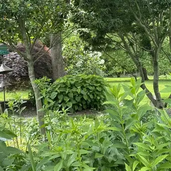 Open Day at Maximal Garden
