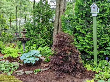 Open Day at The Big Little Garden