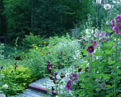 Open Day at Platt Garden
