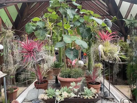 Open Day at Garden of Lee Link