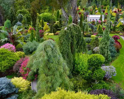 Open Day at The Avon Flower House