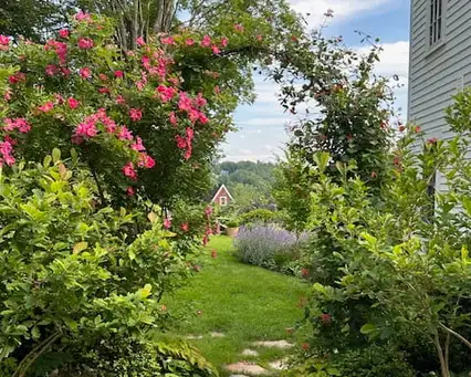Open Day at Hidden Pocket Garden