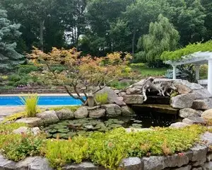 Open Day at The Kunkera Garden