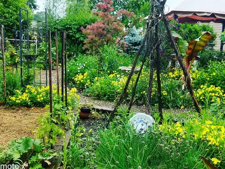 Becky's Wild and Wonderful Garden