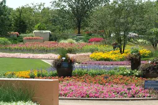 Open Day at The Gardens at Ball- Session 1