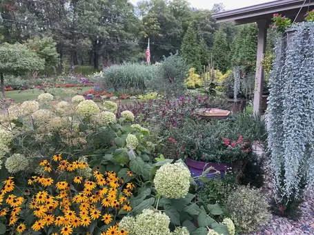 Open Day at Wildwood Garden