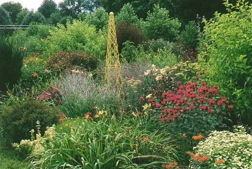 Open Day at Dinsmore Garden