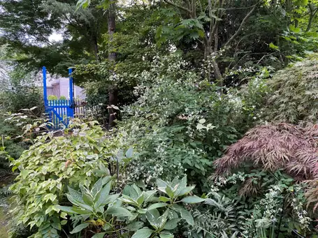 Open Day at The Garden of Dianne B.