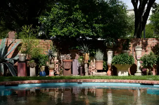 Open Day at Kyle-Lasseter Garden