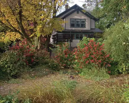 Open Day at The Brine Garden—Duncan & Julia Brine