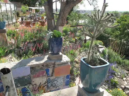 Saturday, May 17th Open Day at Midway Xeric Garden