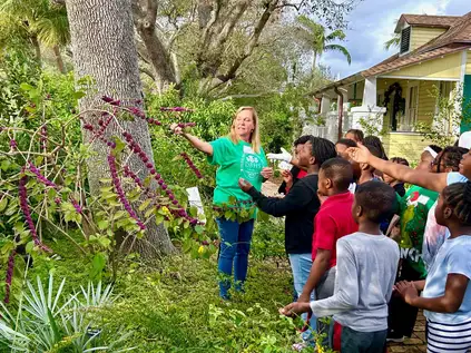 Digging Deeper: Exploring Florida Native Habitats