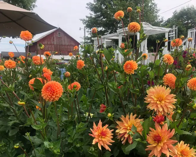 The Garden Conservancy Preservation Partner Garden