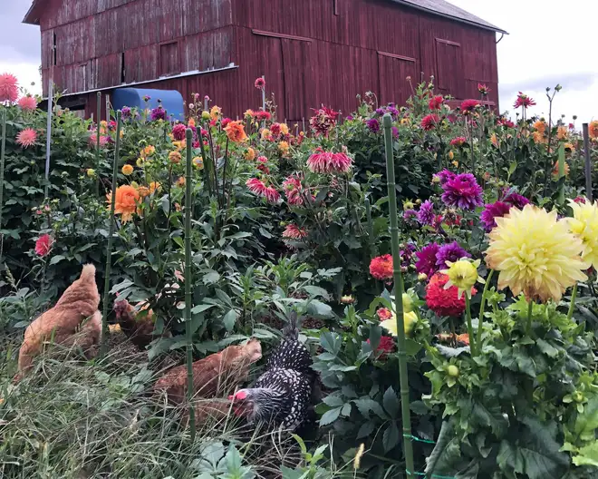 The Garden Conservancy Preservation Partner Garden